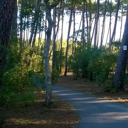 Grand Sous Les Pins Avec Jardin アパート ラバンヌ