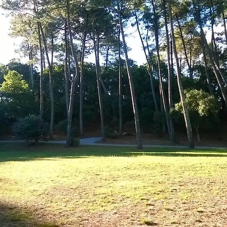 Grand Sous Les Pins Avec Jardin アパート